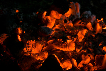 Background of the hot charcoal