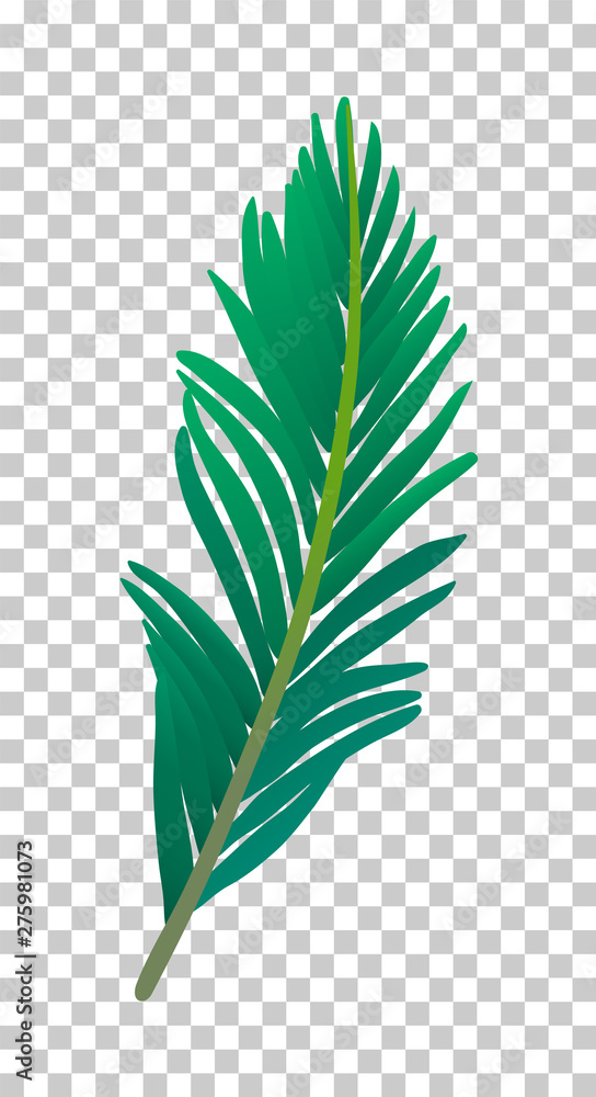 Canvas Prints vector illustration of palm tree leaf.
