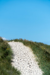 Footway through dune grass with a blue sky