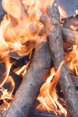 Close-up of campfire fire with wood logs