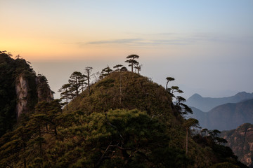 Tree silhouettes during sunrise, Vibrant red and orange sky, mountains and horizon. Sanqing Mountain in Jiangxi Province, China. Mist and Fog in the distance, pine tree silhouettes.