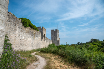Fototapeta na wymiar Castle ruin
