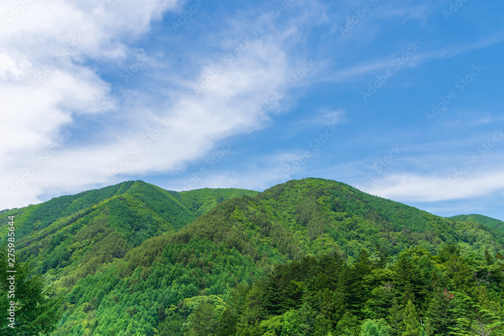 Wall mural 山と青空　奈川