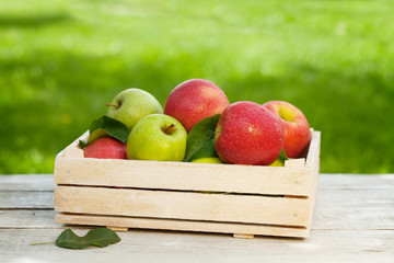 Fresh garden green and red apples in box