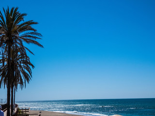Palm tree at white sandy beach, blue sea in sunny day, Spain,Mursia