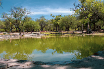 dirty green water pool