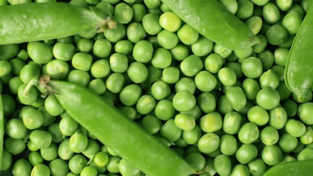 Rotating of fresh green pease and shells. Close up 4k footage of food. Top view.