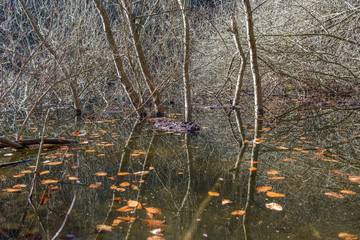 Montseny Natural Park