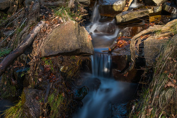 Montseny Natural Park, autumn (Catalonia,Spain)