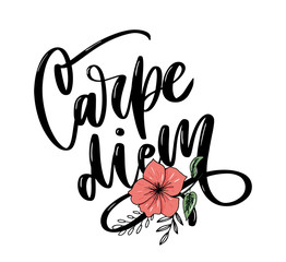 Carpe Diem. Beautiful message. It can be used for website design, t-shirt, phone case, poster, slogan