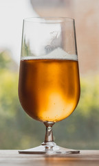 glass of beer on a background