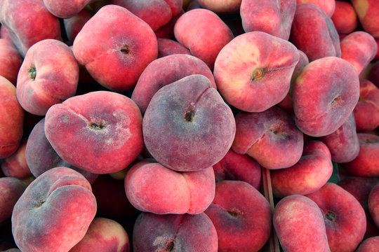 flat peaches harvest close up