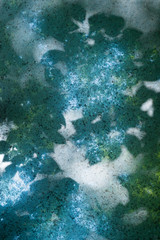 Abstract background from leaves on polycarbonate canopy.