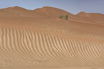 Fototapeta na wymiar Shifting sand dunes-Takla Makan Desert. Yutian Keriya county-Xinjiang Uyghur region-China-0233