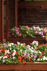 Blooming Impatiens flowers on the wooden balcony.