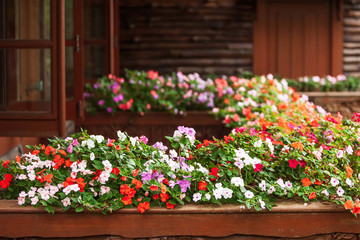 Fototapeta na wymiar Blooming Impatiens flowers on wooden balcony.