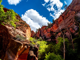 Landscape of the high desert sandstone in the southwest United States