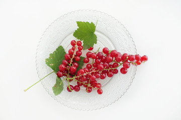 Fresh Juicy Redcurrant isolated on a White Background