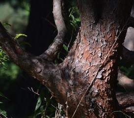 Late Summer Impressions from a Berlin Park of August 31, 2016, Germany