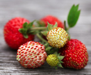 Fresh ripe and green strawberries