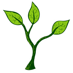 Vector illustration. Green sprout hand-drawn. 
