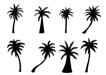Vector illustration. set of silhouettes of palm trees on white background.