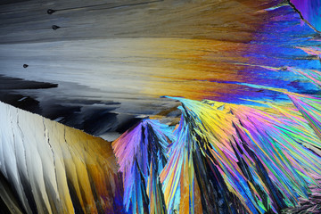Colorful micro crystals in polarized light. Photo through a microscope.