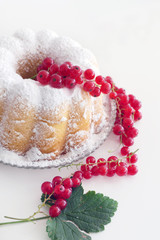 Homemade Cake with Redcurrant in a Plate isolated on a White Background