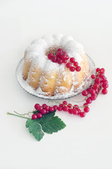 Homemade Cake with Redcurrant in a Plate isolated on a White Background