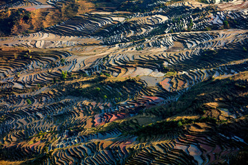 Honghe Yuanyang, Samaba Rice Terrace Fields - Baohua township, Yunnan Province China. Sama Dam Multi-Color Terraces - grass, mud construction layered terraces filled with water, blue sky reflection