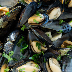 Close up view of cooked delicious black mussel. Healthy eating concept, rich protein  food