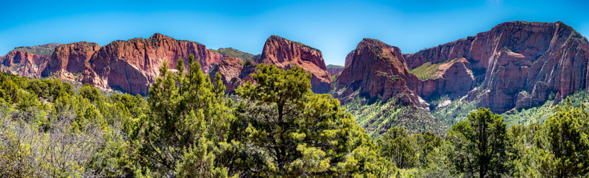 Sandstone clifs and mountains of the southwest United States