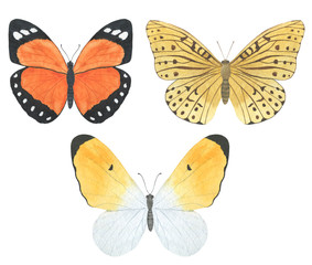 Fototapeta na wymiar Butterfly watercolor illustration set of summer decorations design wedding invitations greeting cards