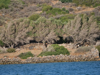 Kreta