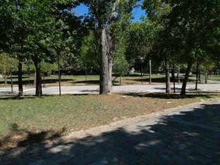 Obraz premium park