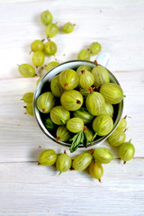 Set of organic gooseberry. Gooseberries fruits in a metal cup. Green gooseberry over rustic wooden background. Sweet and juicy berry. Top view.