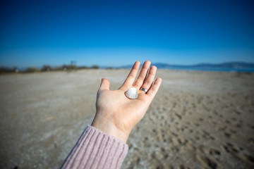 Woman hand holding a sea shell with blurred beacon on the background