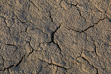 Parched soil