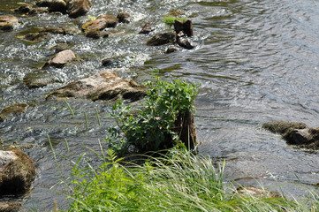 Old destroyed dam on the lake - a fast stream of water flows through large stones
