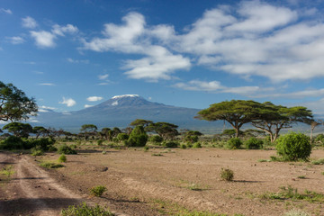 Fototapeta na wymiar African savannah in Kenya.Typical African Landscape