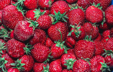 Ripe and red strawberries with green tails