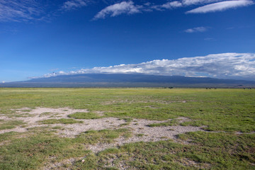 African savannah in Kenya.Typical African Landscape. 