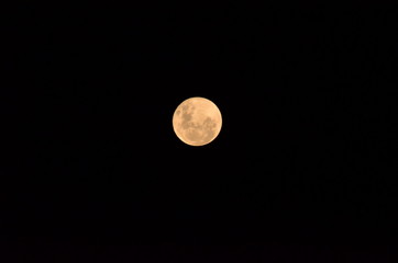 Moon at it largest also called super moon, Moon with a clear night surface. © Lucas