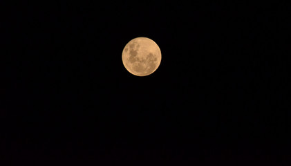 Moon at it largest also called super moon, Moon with a clear night surface. © Lucas