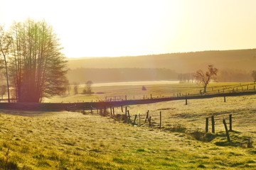 Obraz premium Meadow in the early morning with sun shining through the fog