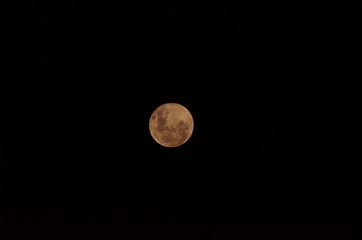 Moon at it largest also called super moon, Moon with a clear night surface.