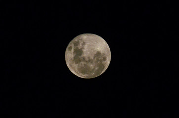 Moon at it largest also called super moon, Moon with a clear night surface.