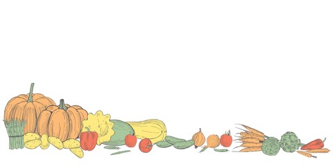 Vector background with  hand drawn vegetables. Sketch  illustration