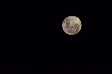 Moon at it largest also called super moon, Moon with a clear night surface.