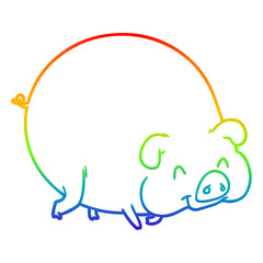 rainbow gradient line drawing cartoon pig